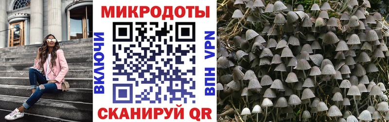 сайты даркнета Telegram  Алушта  ОМГ ОМГ вход  Псилоцибиновые грибы прущие грибы  где найти наркотики 